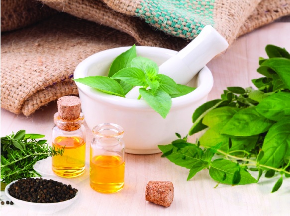 II Scientific Days of CBIOS